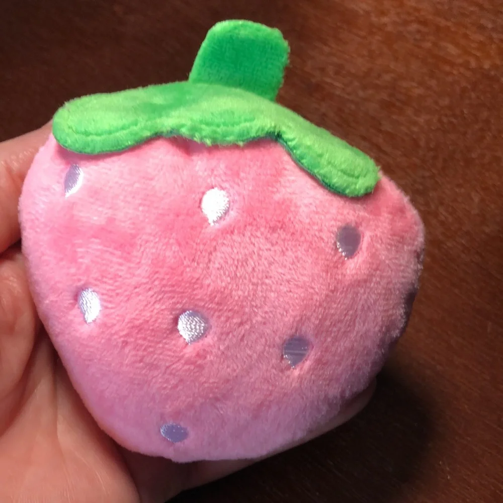 BOGO Pink Strawberry Pet Toy